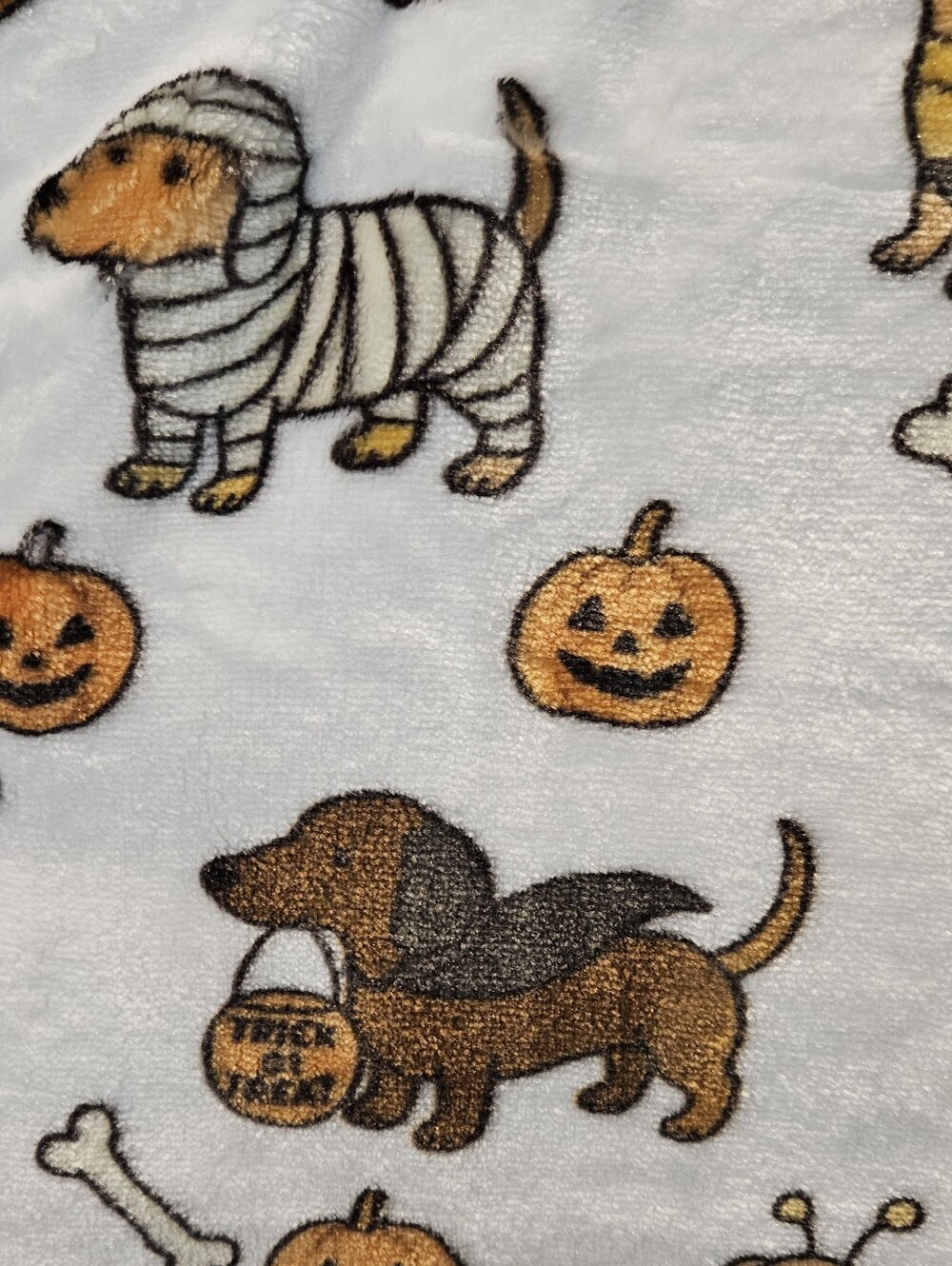 đ Pickle & Dot Dachshund Halloween Oversized Plush Throw Blanket 60â x 70â NWT - Picture 8 of 9